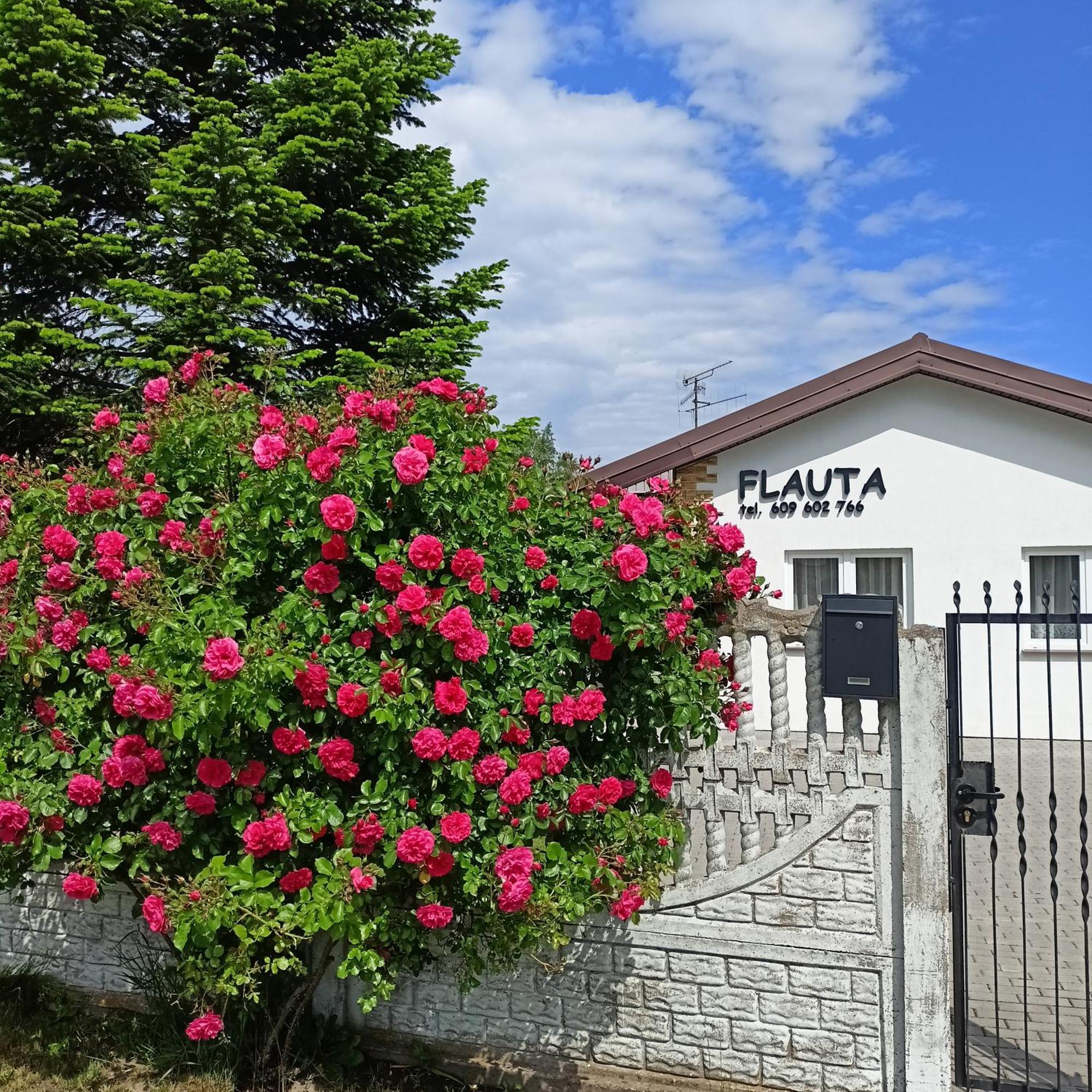 Flauta Apartamenty Rodzinne Mielenko Dış mekan fotoğraf